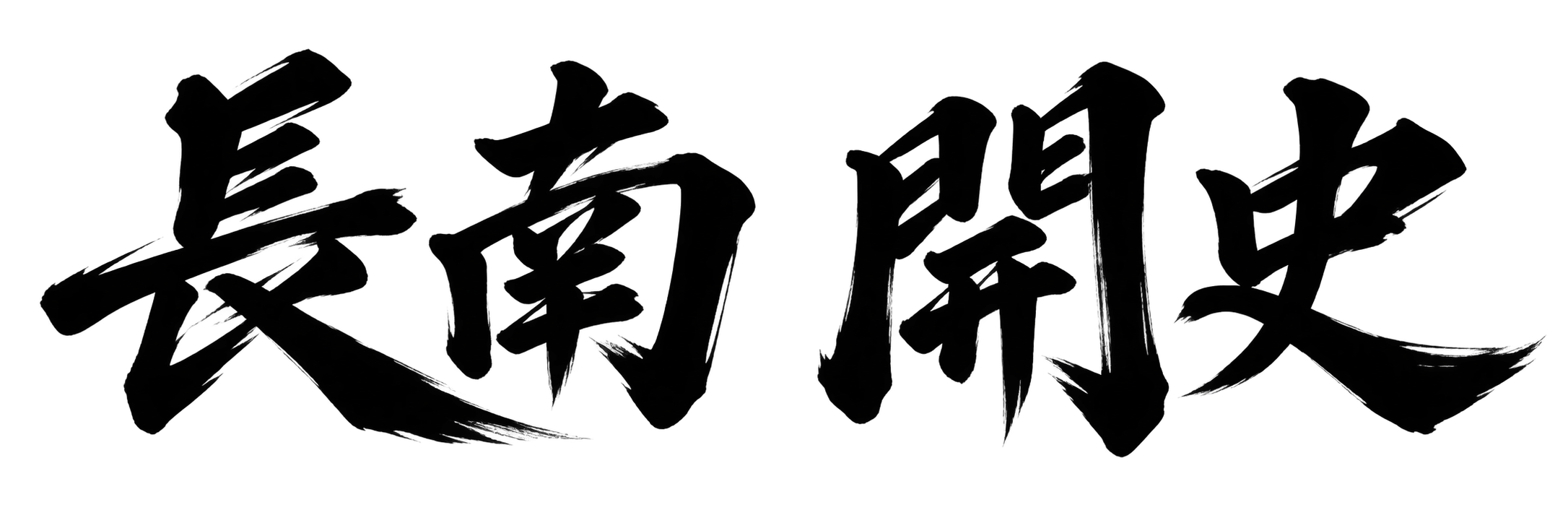 長南 開史